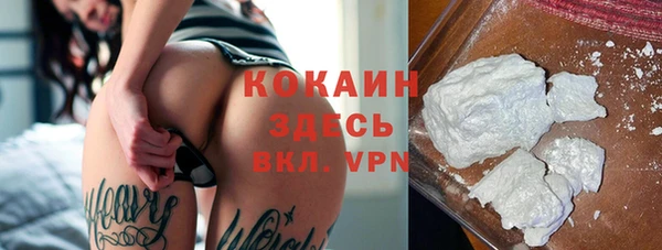 стаф Балахна
