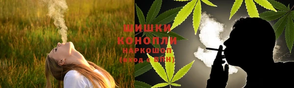 стаф Балахна