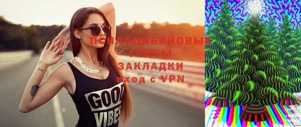 стаф Балахна